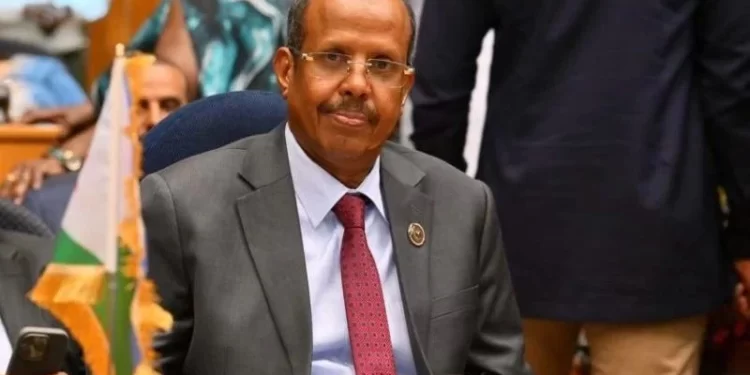 Mahamoud Ali Youssouf Minister of Foreign Affairs and International Cooperation since 2005