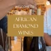 Tandokuhle Mpinda- Founder and owner, African Diamond Wines
