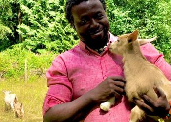 Toyin Kayo-Ajayi, widely known as TK Ajayi, is a Nigerian-Canadian entrepreneur, farmer, business consultant, mentor, music enthusiast, and advocate for food sovereignty.