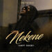 Mr Nekene – Nekene ( Soft Rock)